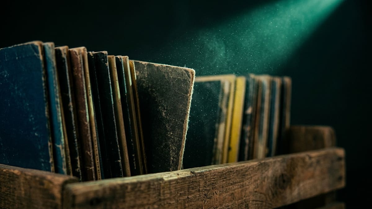 Cajón de discos de vinilo ordenados uno detrás de otro, como un archivo de catálogo